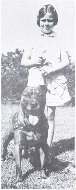 picture of dog