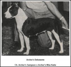 picture of dog