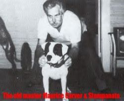 picture of dog