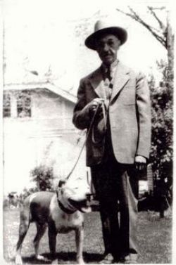 picture of dog