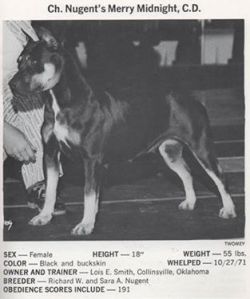picture of dog