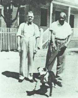 picture of dog