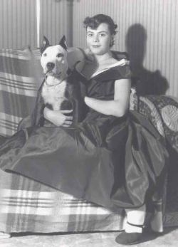 picture of dog