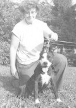 picture of dog
