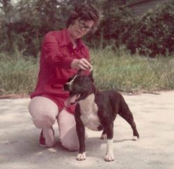 picture of dog