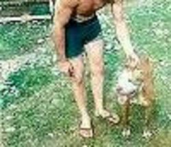 picture of dog
