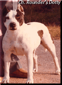 picture of dog