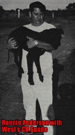 picture of dog