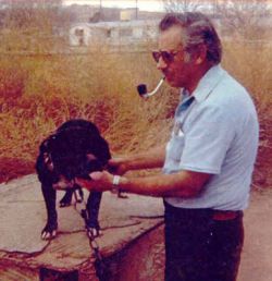 picture of dog