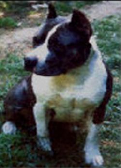 picture of dog