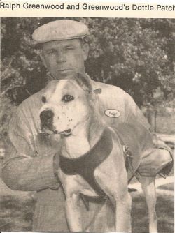 picture of dog