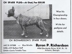 picture of dog