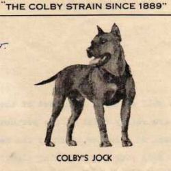 picture of dog