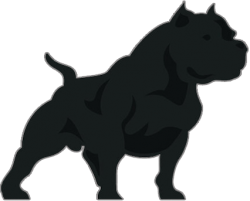 picture of dog