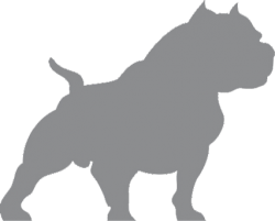 picture of dog