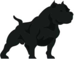 picture of dog