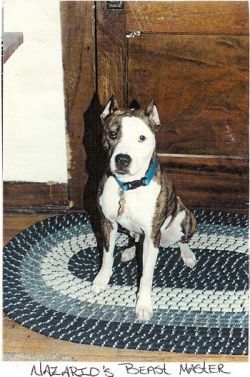 picture of dog