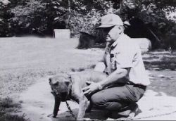 picture of dog