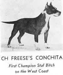 picture of dog