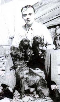 picture of dog
